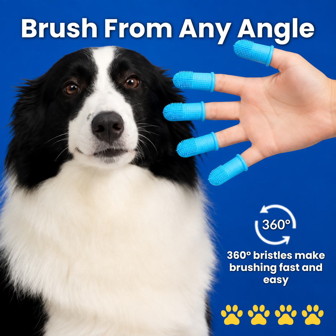 PupWash 360 Dog Tooth Brush - 4 Pack