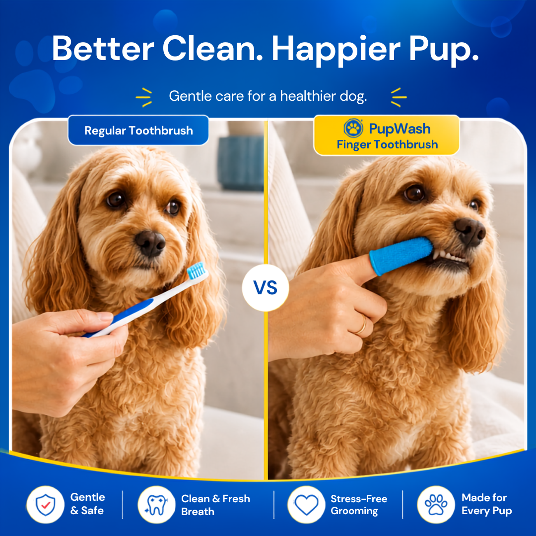 PupWash 360 Dog Tooth Brush - 4 Pack
