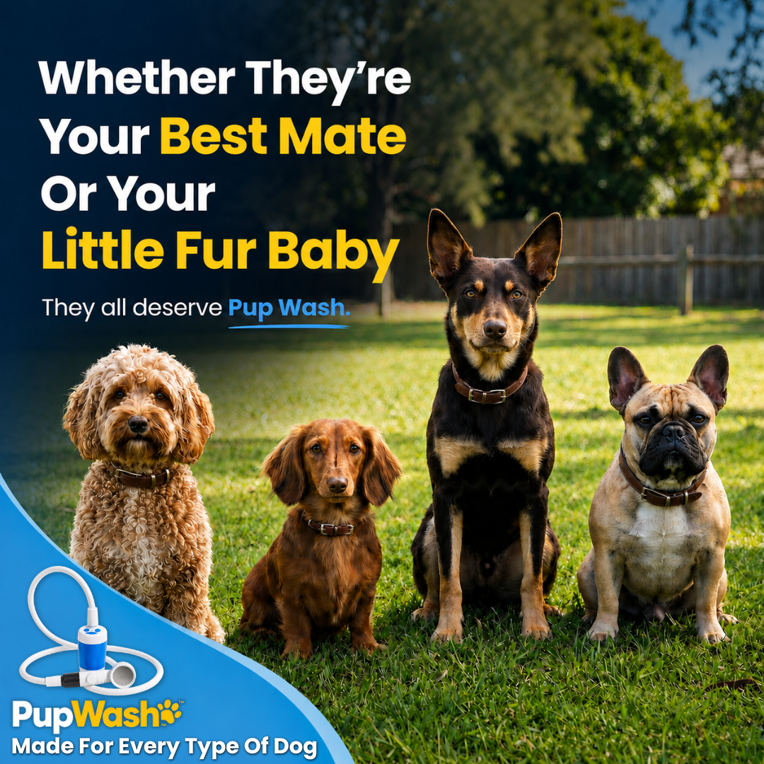 PupWash - Warm Water Pro 25% OFF